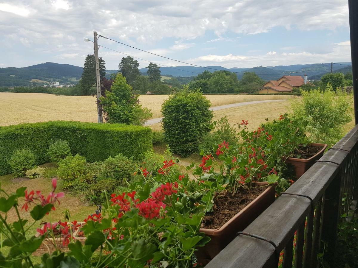 Le Clos Des Aulnes Anould Exterior foto